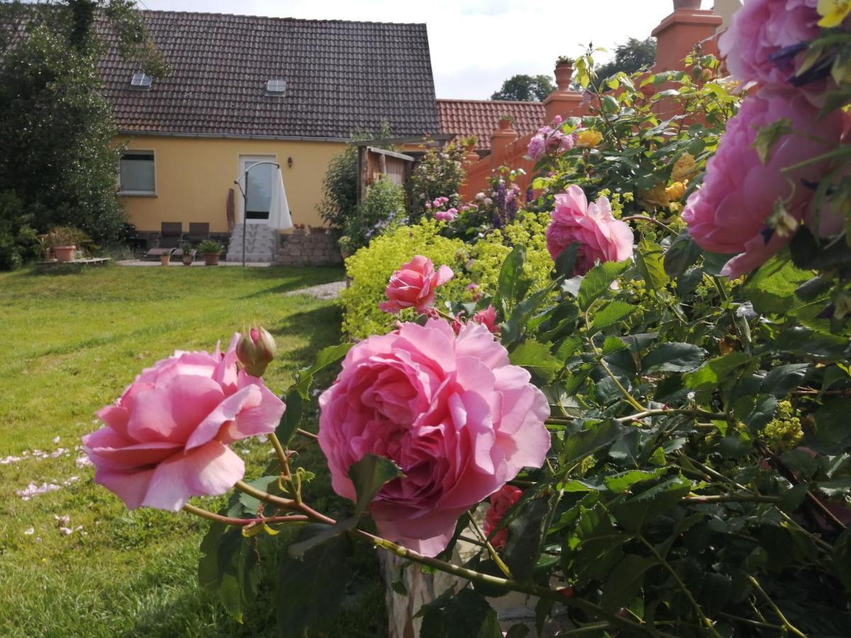Strandhaus Mariflor Brook Exterior foto